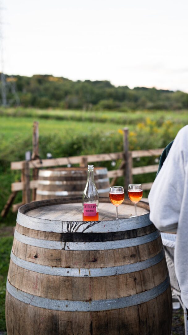 Cider tasting at Cidre Intrus
