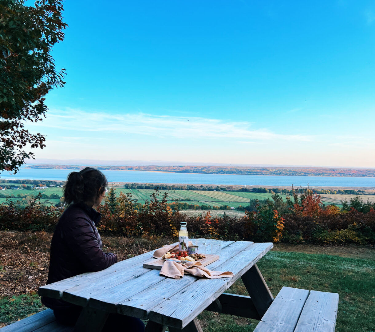 A food stop overlooking the St. Lawrence River and the Côte-de-Beaupré